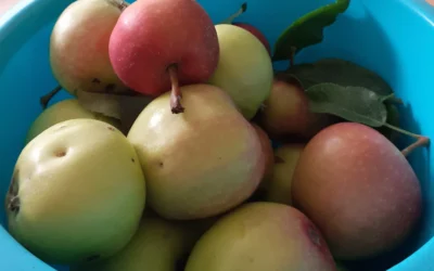 Ontmoeten en eten 26 juli